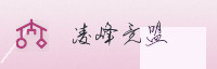 合作伙伴